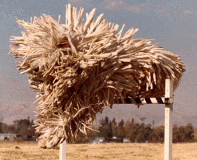 Прикрепленное изображение: Jago2A.gif